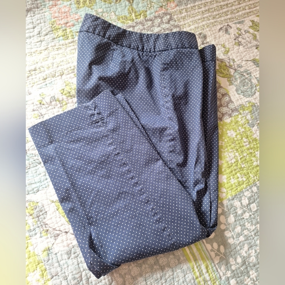 Talbots Blue Polka Dot Pants